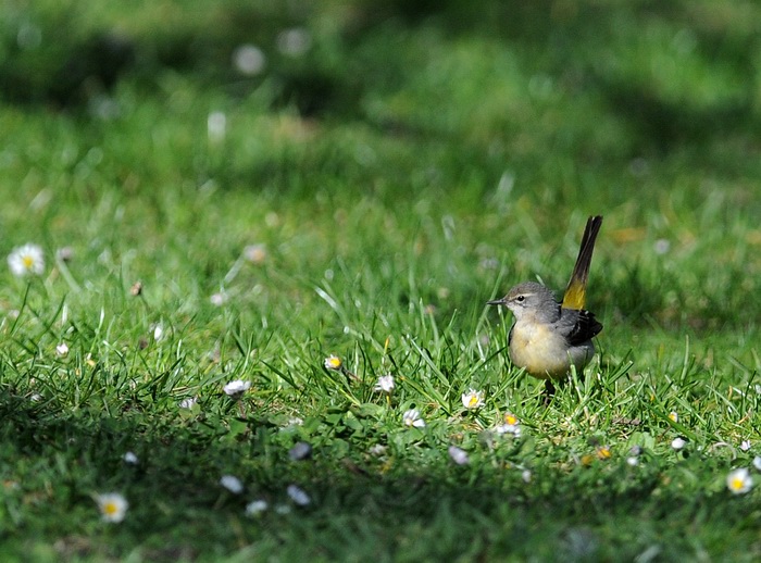 Ai giardini Margherita-BO