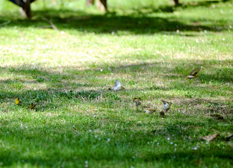 Ai giardini Margherita-BO