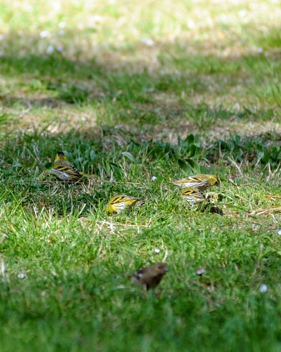 Ai giardini Margherita-BO