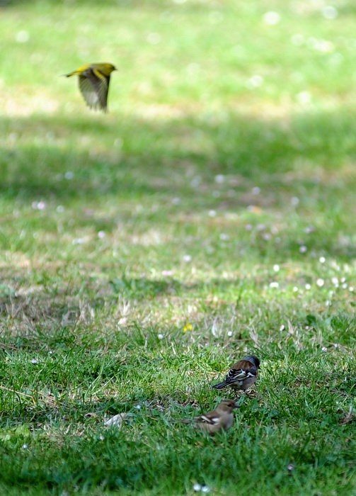 Ai giardini Margherita-BO