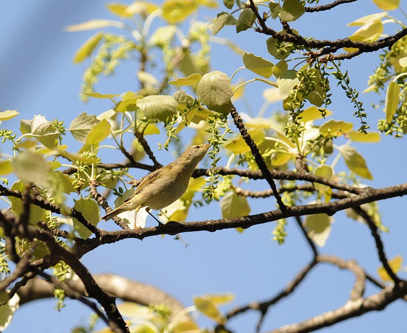 Ai giardini Margherita-BO