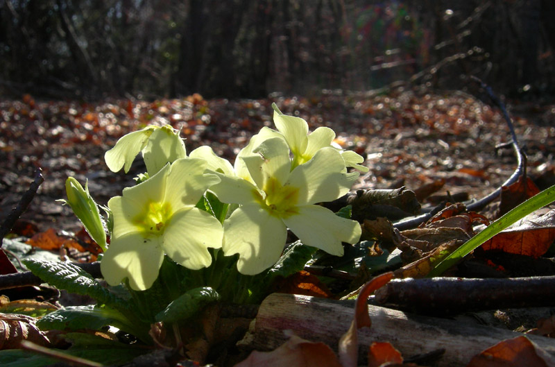 Aria di primavera...