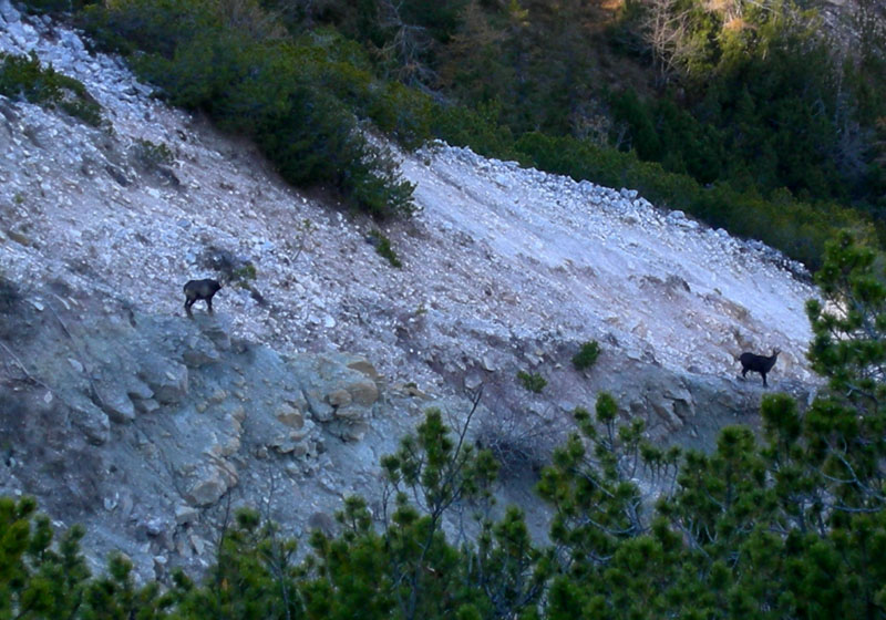 Sentiero geologico 