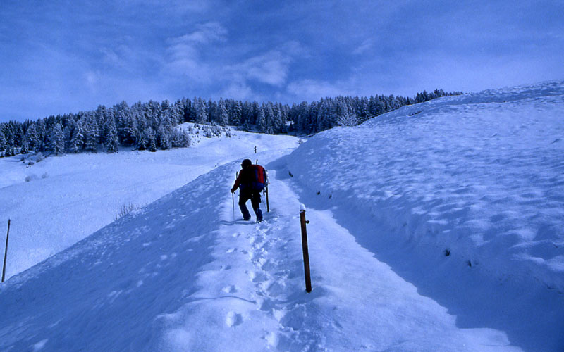 Monte del Pascolo m. 2436.............escursione