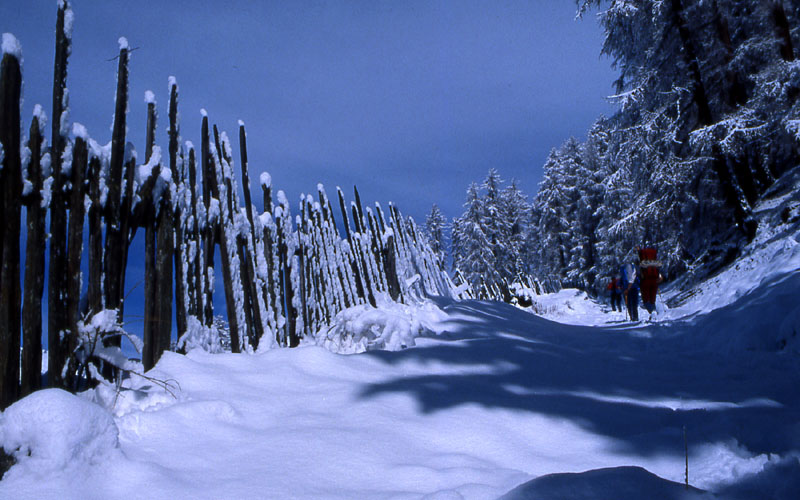 Monte del Pascolo m. 2436.............escursione