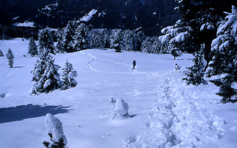 Monte del Pascolo m. 2436.............escursione