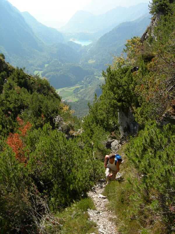 Casina Cogorna.....SAT di Fiav