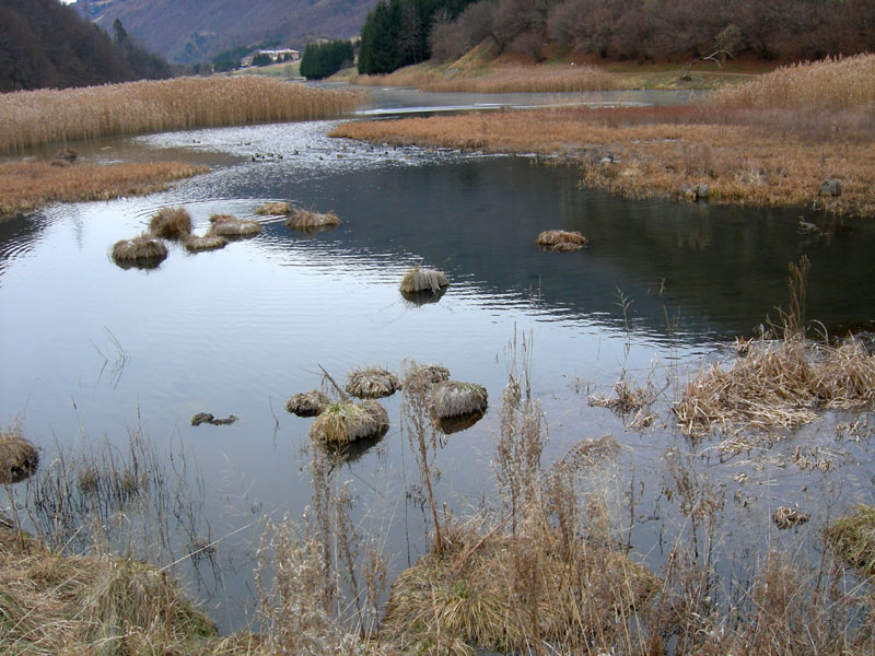 Laghi.......del TRENTINO