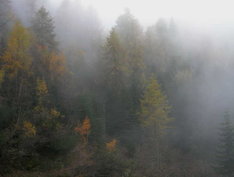 Cima Levante e Capanna Sinl......escursione