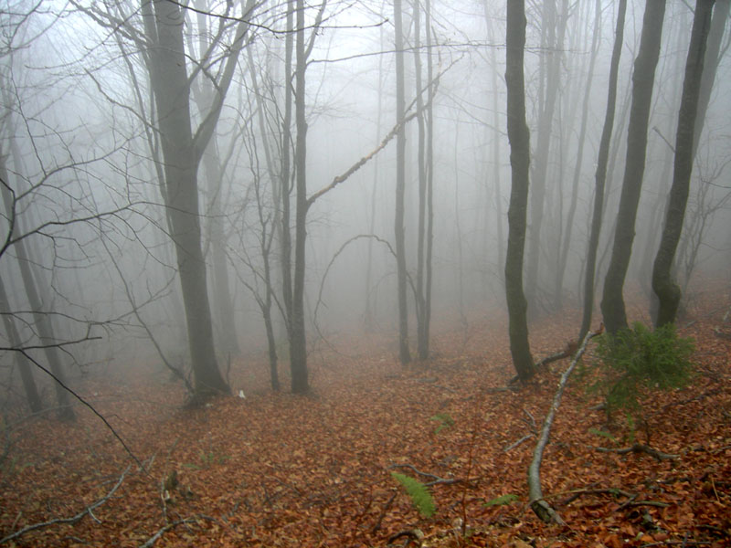 Cima Levante e Capanna Sinl......escursione