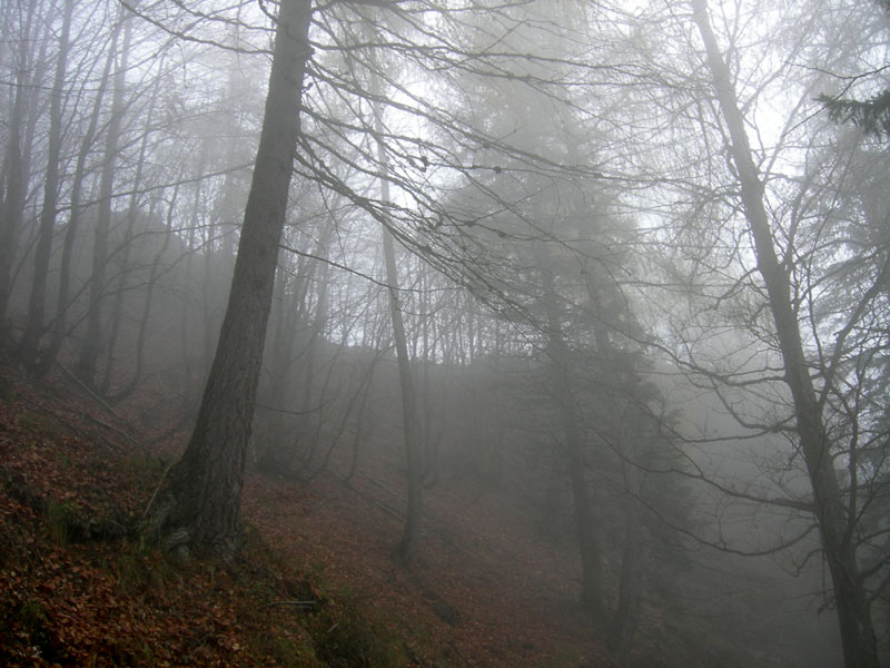 Cima Levante e Capanna Sinl......escursione