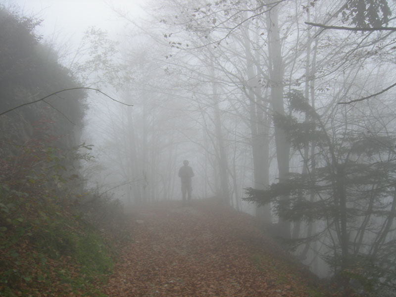 Cima Levante e Capanna Sinl......escursione