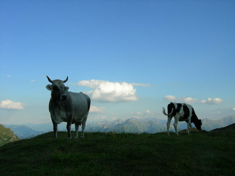 Monte Cavallo e Cime Bianche di Telves.......escursione