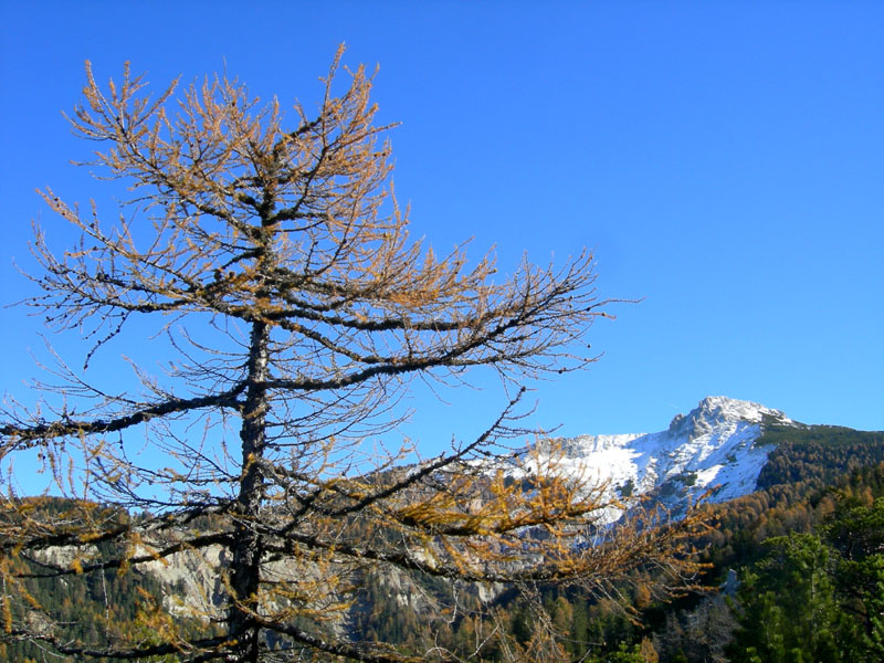 Sentiero geologico 