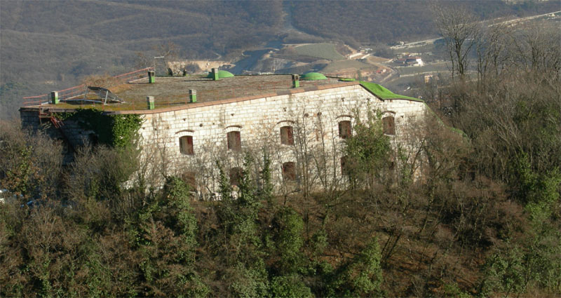 Monumento vegetale: Cerro (Ravina - TN))