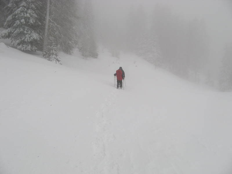 sotto una nevicata