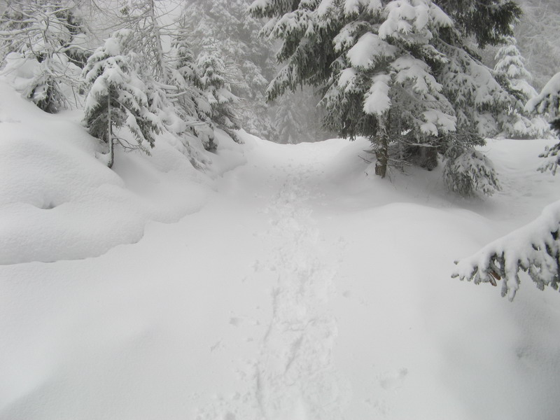 sotto una nevicata