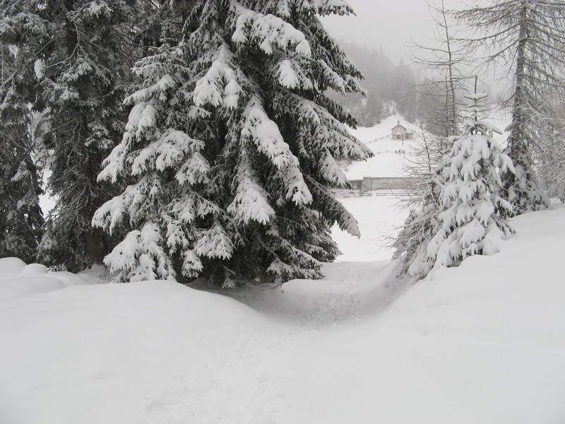 sotto una nevicata