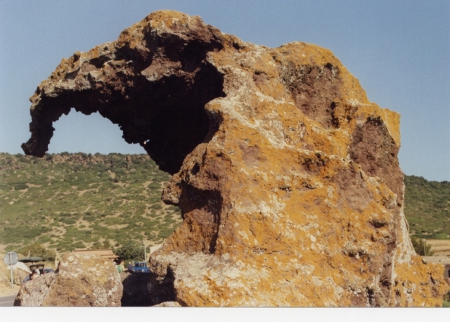 Sculture naturali