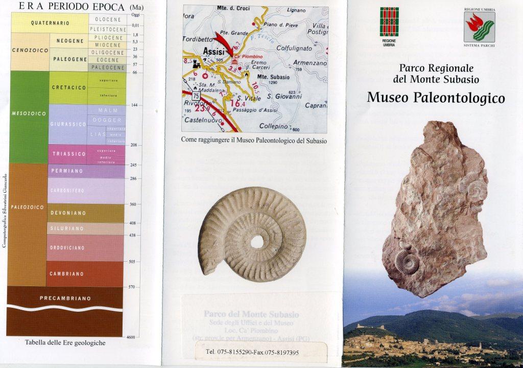 Museo geo-paleontologico e Apertura Sito internet