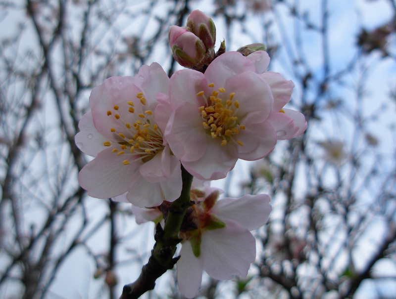 Aria di primavera...