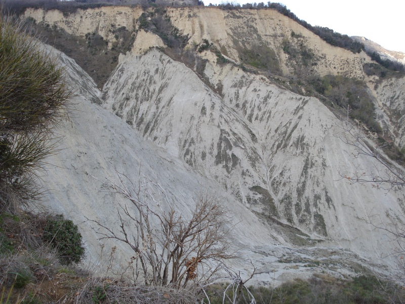 SISTEMI CALANCHIFERI E LA LORO FLORA