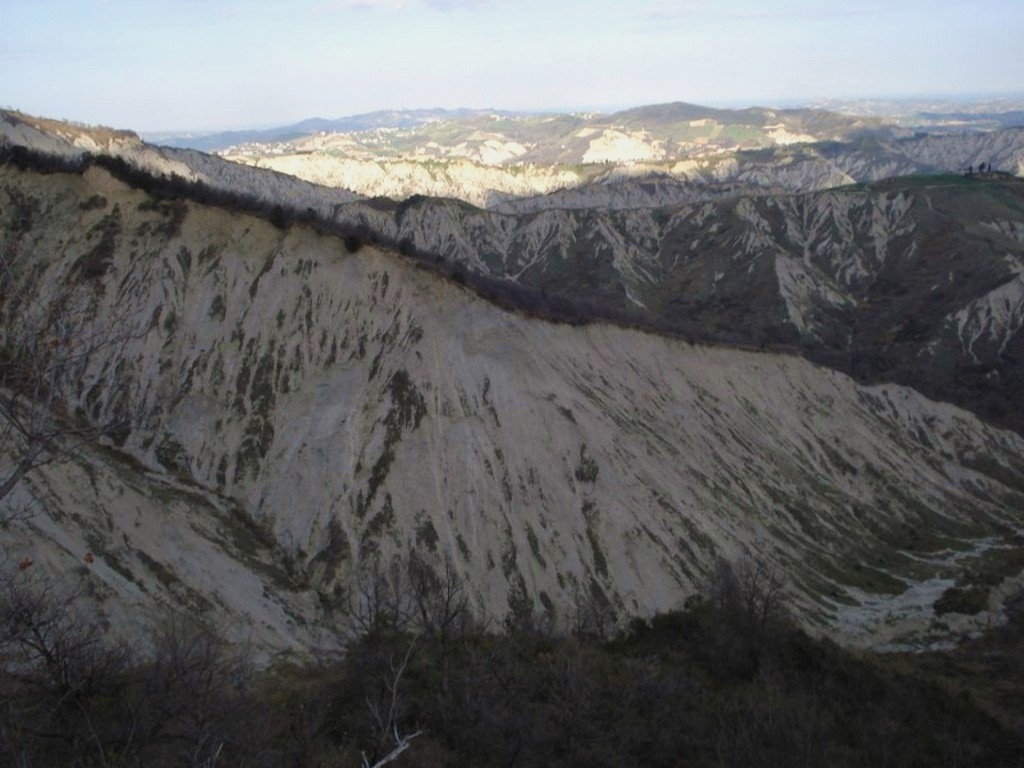 SISTEMI CALANCHIFERI E LA LORO FLORA