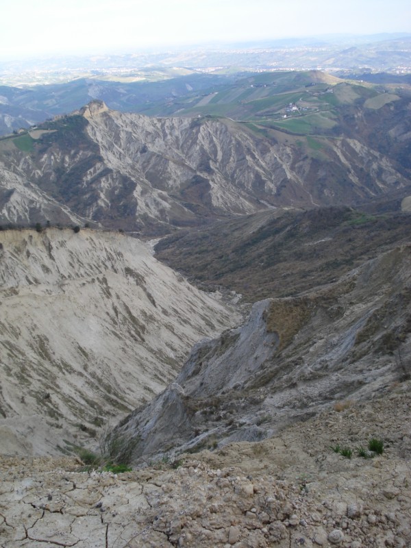 SISTEMI CALANCHIFERI E LA LORO FLORA