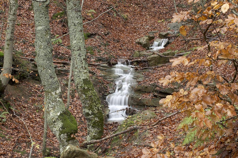 Immagini dall''abruzzo