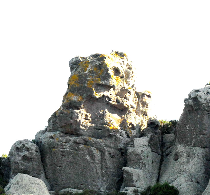 Sculture naturali