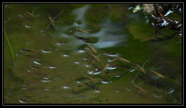 Esperimenti... d''acqua