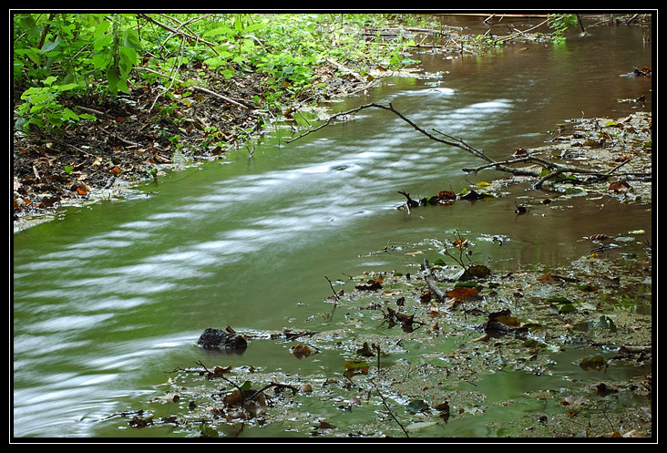 Esperimenti... d''acqua