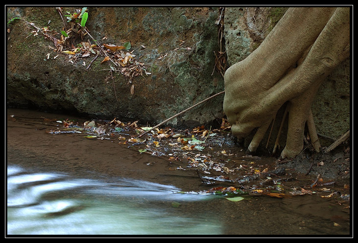 Esperimenti... d''acqua