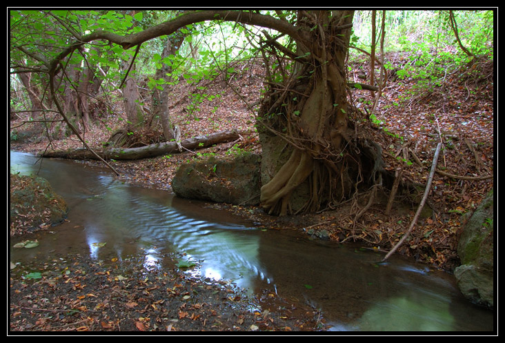 Esperimenti... d''acqua