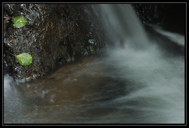 Esperimenti... d''acqua