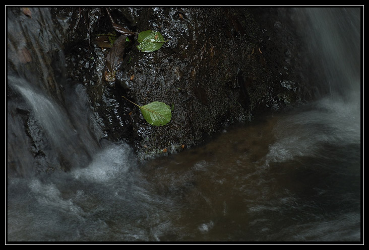 Esperimenti... d''acqua