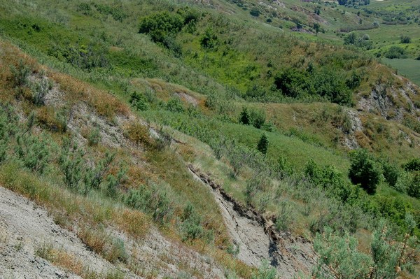 SISTEMI CALANCHIFERI E LA LORO FLORA