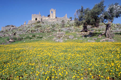 Isola Capo Rizzuto (Crotone)