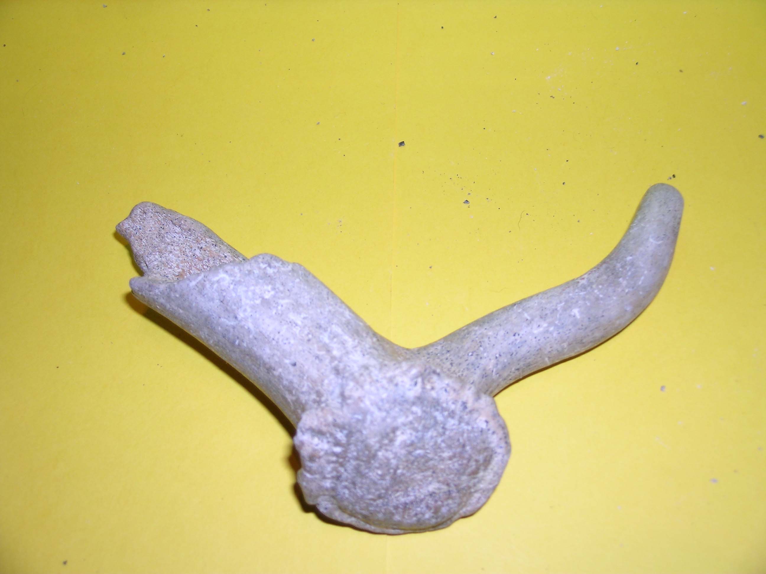 Mammiferi del Pleistocene?