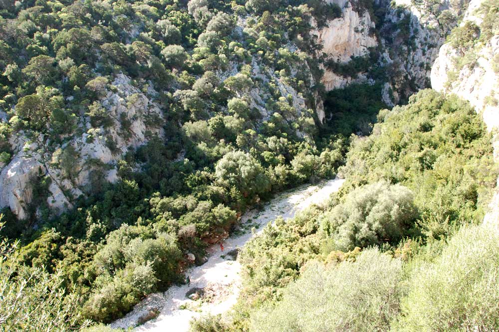 Da Cala Fuili a Cala Luna