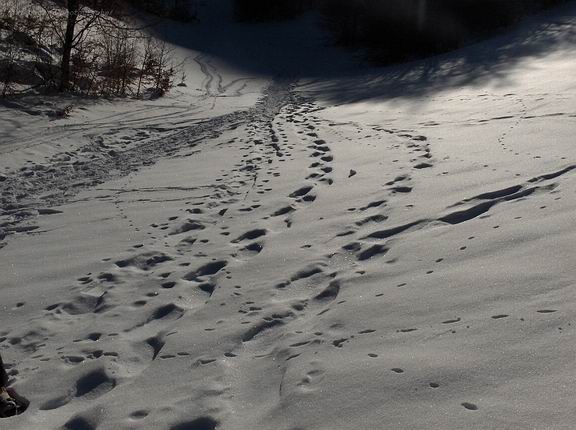 Foto nevose dell''umbria!