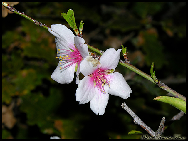 Aria di primavera...