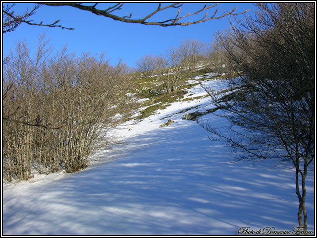 Sentiero degli Abies nebrodensis (Parco delle Madonie)