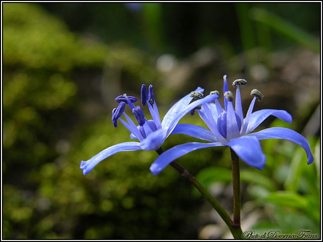 Aria di primavera...