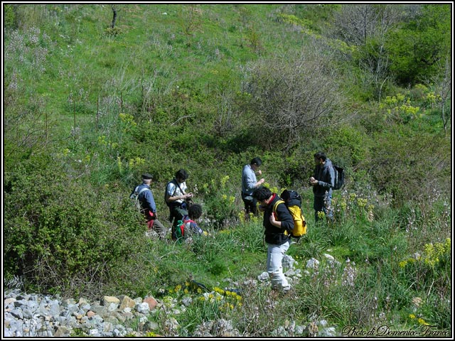 Ci vediamo il 30.03.2008 sulle Madonie