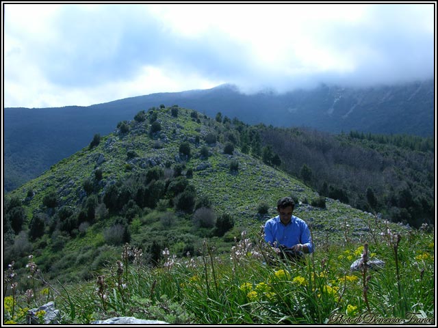 Ci vediamo il 30.03.2008 sulle Madonie