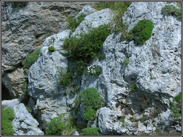 Ci vediamo il 30.03.2008 sulle Madonie