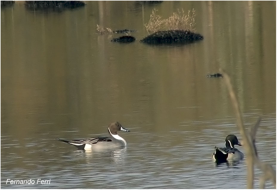 un pomeriggio sul lago