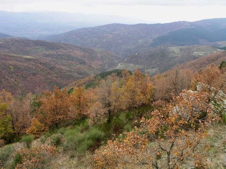 Escursione ai piedi della Sila