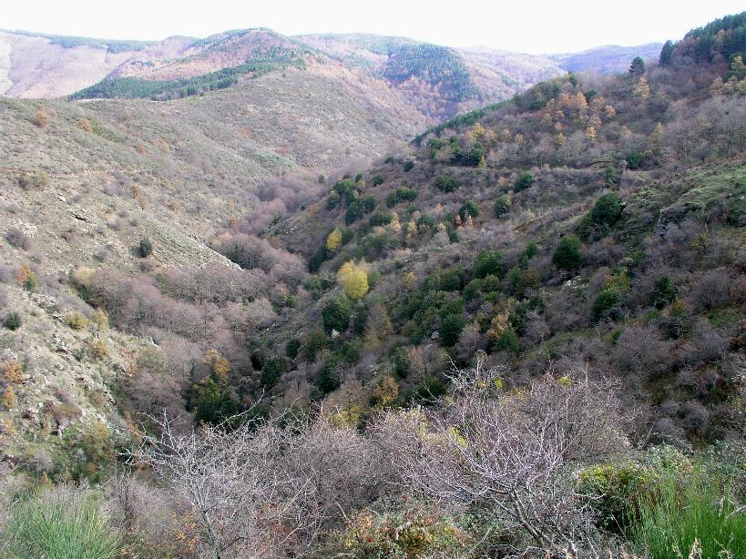 Escursione ai piedi della Sila